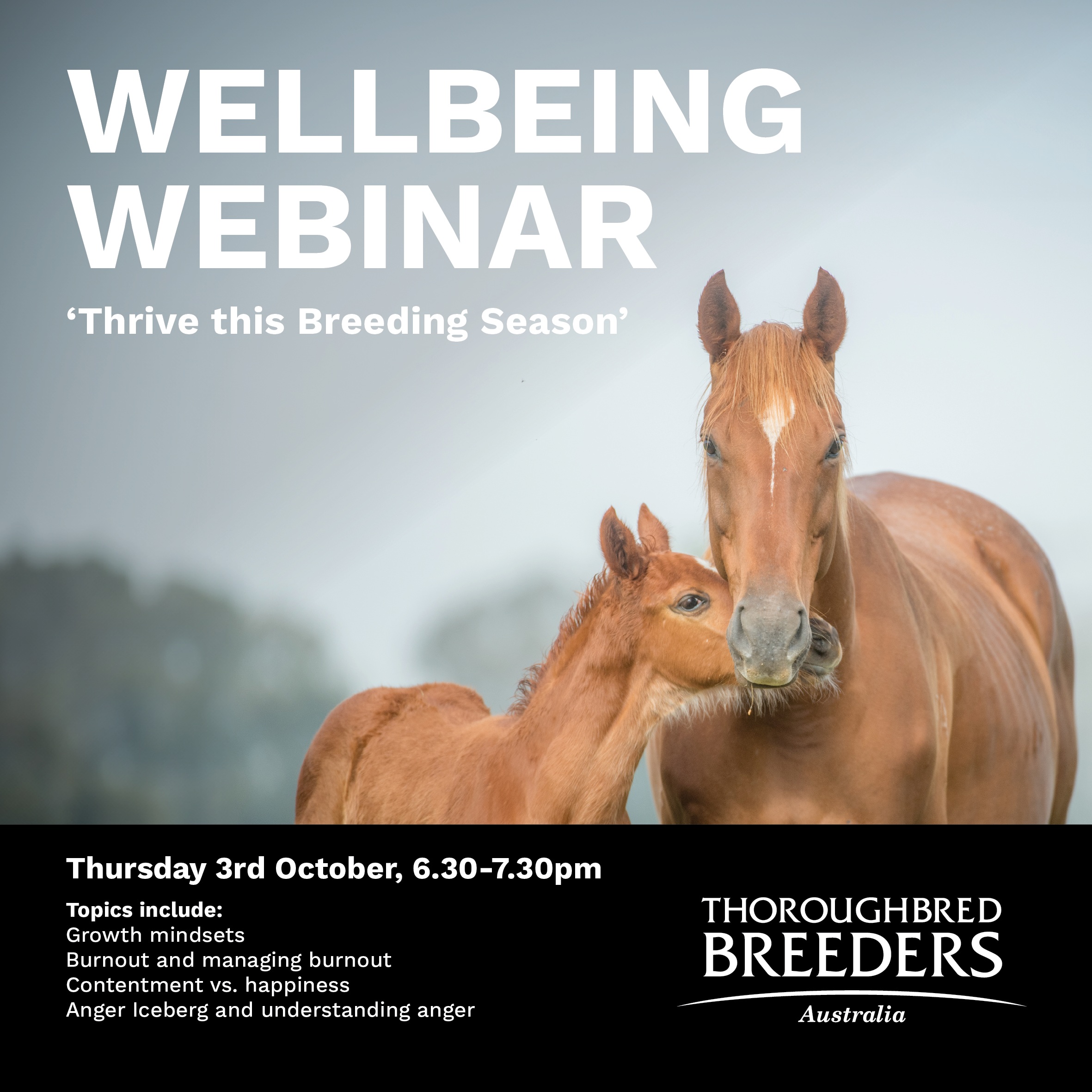 TBA_Wellbeing_Webinar (2)